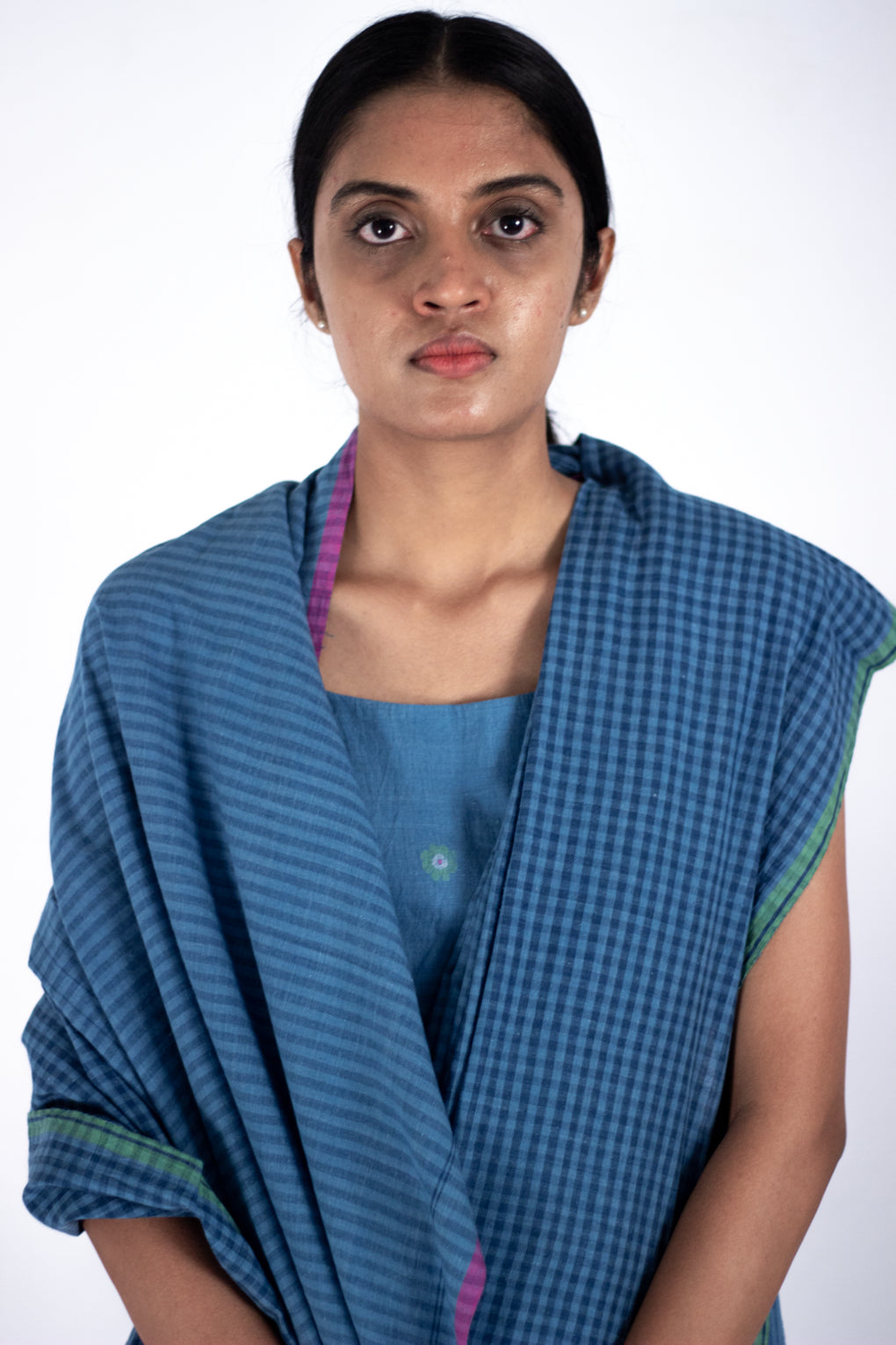 Neelkanth - indigo check stripe saree - Karnam